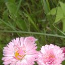 ���� ������� �., ������ - ��������� 3 ���� 2025 � ������ ������ ��������