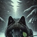 ���� �������, �����-���������, 35 ��� - ��������� 9 ������ 2026 � ������ ���� ����������