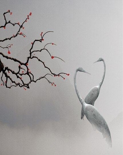 ���� ���� ���-�� ������ � ������. ���-�� ������ � ������. �ب� � �������. ���������� ���� � ��� �� ...