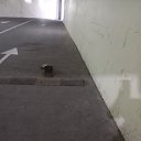 ���� �����, ������, 31 ��� - ��������� 14 ������ 2023 � ������ ���� ����������