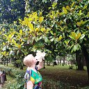 ���� �����, ��������� - ��������� 1 ������ 2023 � ������ ���� ����������