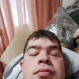 ����, 24 ����, ���������