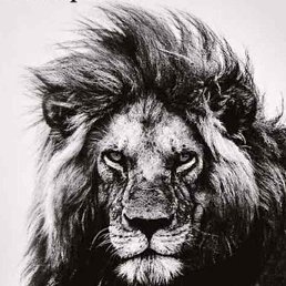 ���� ����� ������, �����, 23 ���� - ��������� 1 ��� 2024