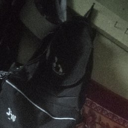 ���� ������������, ������, 62 ����