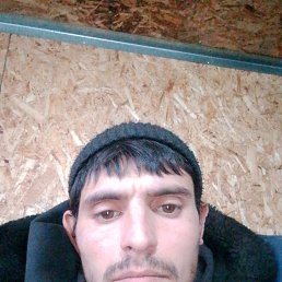 , 32, 