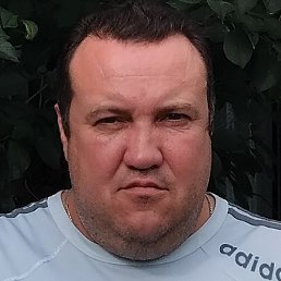 �������, ������, 40 ���