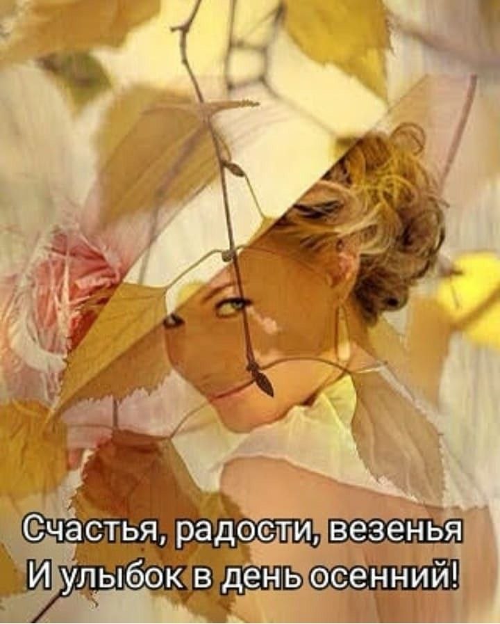   - 2  2025  08:29