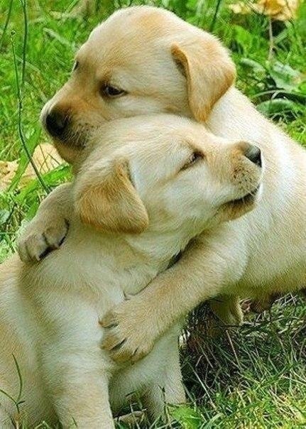 ��������� ���� ����� ����. ������. ������ � �� ����. ��� ��� �����!