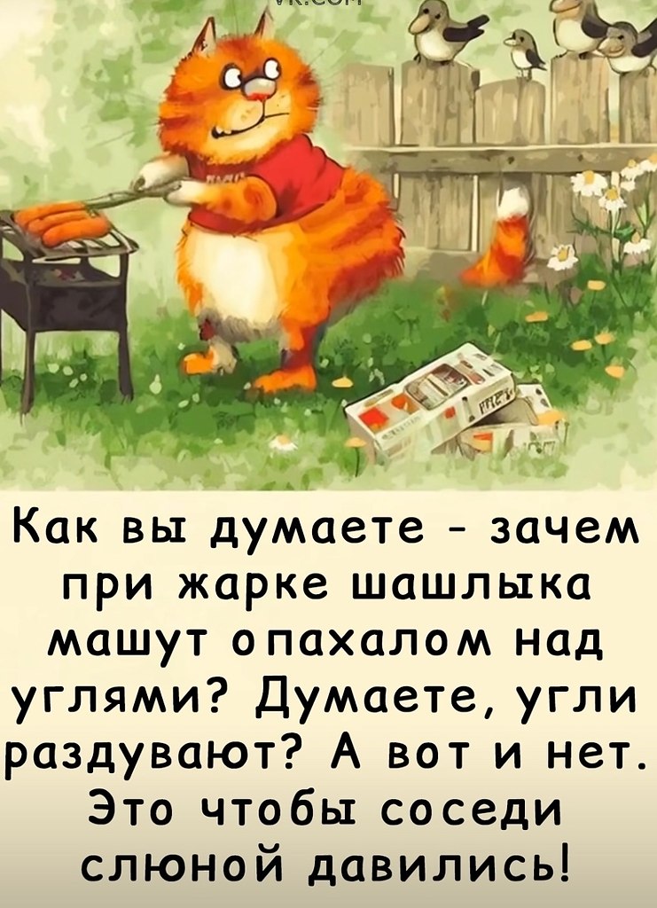  - 6  2025  14:31