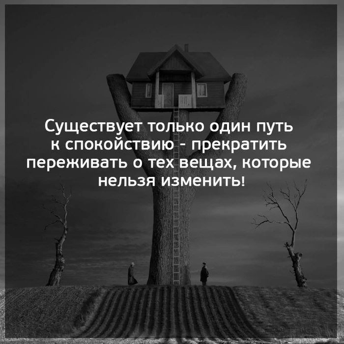 .. - 23  2023  01:54