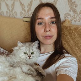 , 29 , -