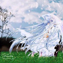 �����, ������, 36 ���