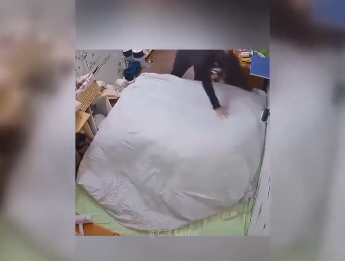 o��� �p���oc�� � ����� ���e� �e �o���o c�ac��e. ����� ������� - 2