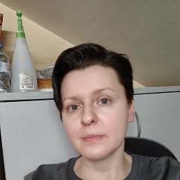 ���� ���, ������ - ��������� 14 ������� 2026