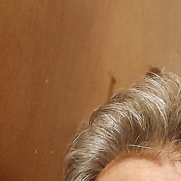 �����������, ����, 53 ����