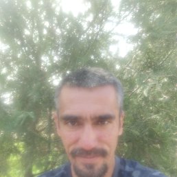 ���� ������, ������, 45 ��� - ��������� 7 ������ 2026