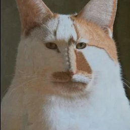 1kears111111, ������, 25 ���