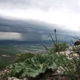 �, ����������, 35 ���