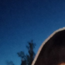 ����, �������, 50 ���