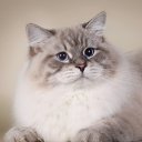 ���� ������, �������, 46 ��� - ��������� 26 �������� 2025 � ������ ���� ����������