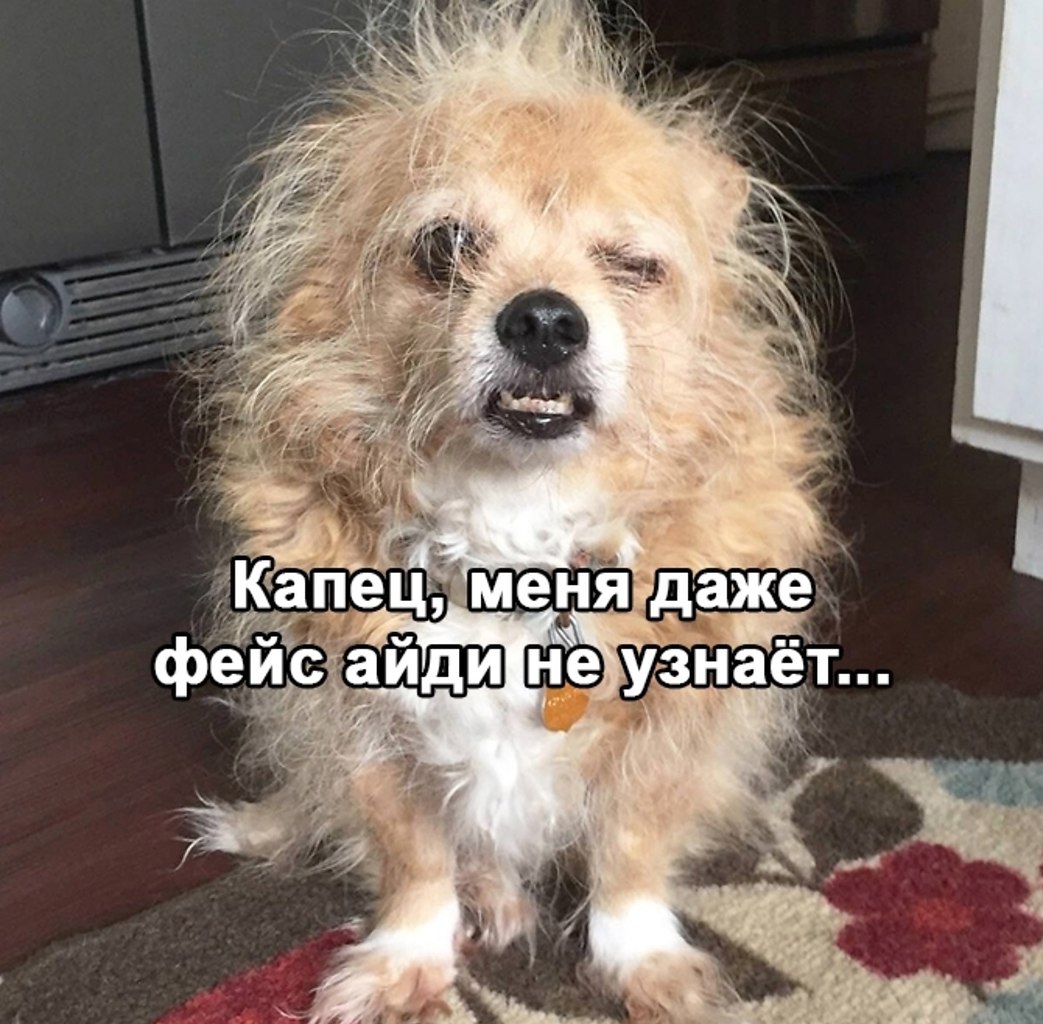 �� ����� ��� � ������ �������� - 4