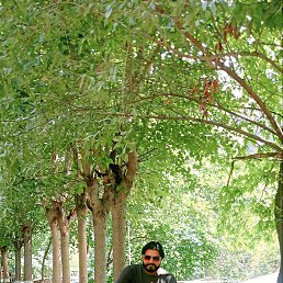 Radhey bajwa, 32, 