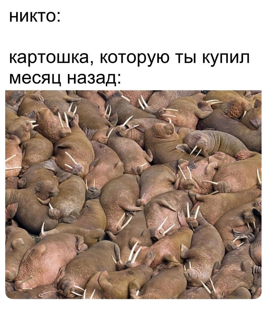 JPG - 26 ���� 2025 � 15:59