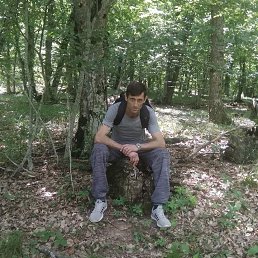 ���� �����, ����������, 48 ��� - ��������� 25 ���� 2024