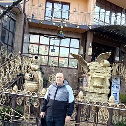 ������, ��������, 65 ���