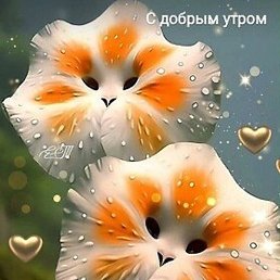 ���������, �����-���������, 49 ���