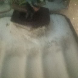 �������, �����������, 41 ���