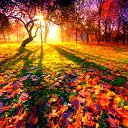 ���� ����, ������ �����, 51 ��� - ��������� 19 ���� 2024 � ������ ������ ��������