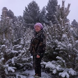 ������, ������, 65 ���