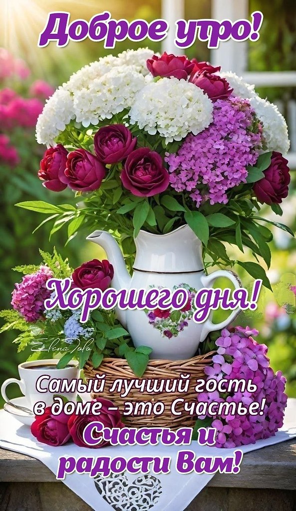   - 16  2024  08:54