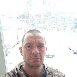 ����, ������, 41 ���