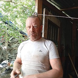 �����, ���������, 44 ����