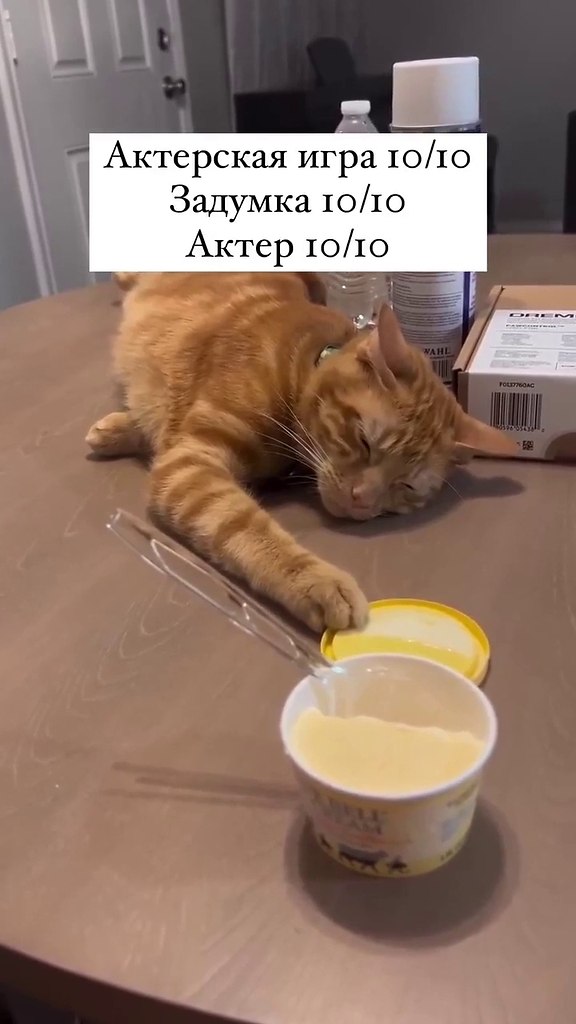 ������������� �� ������: 