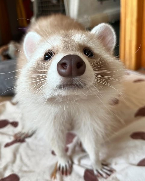   -,   .        ,  ... - 2