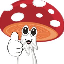 Andre, ������, 51 ���