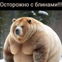 �������, ������, 58 ���