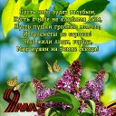 ���� �����, ����, 52 ���� - ��������� 4 ��� 2026 � ������ ������ ��������