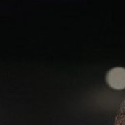 ������, 42 ����, ���������