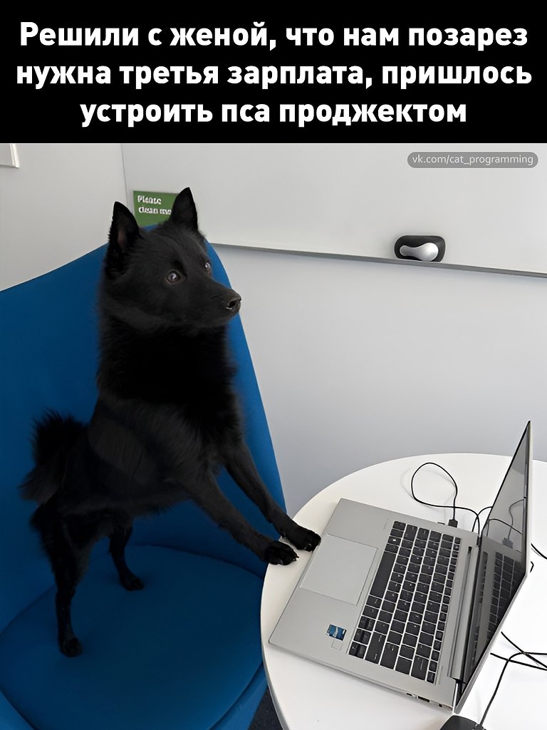 /zev/null - 18 июня 2025 в 08:17