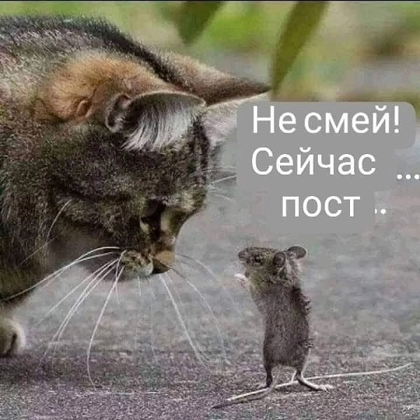  - 8  2025  07:21