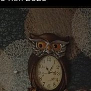 �����, 43 ����, ���������