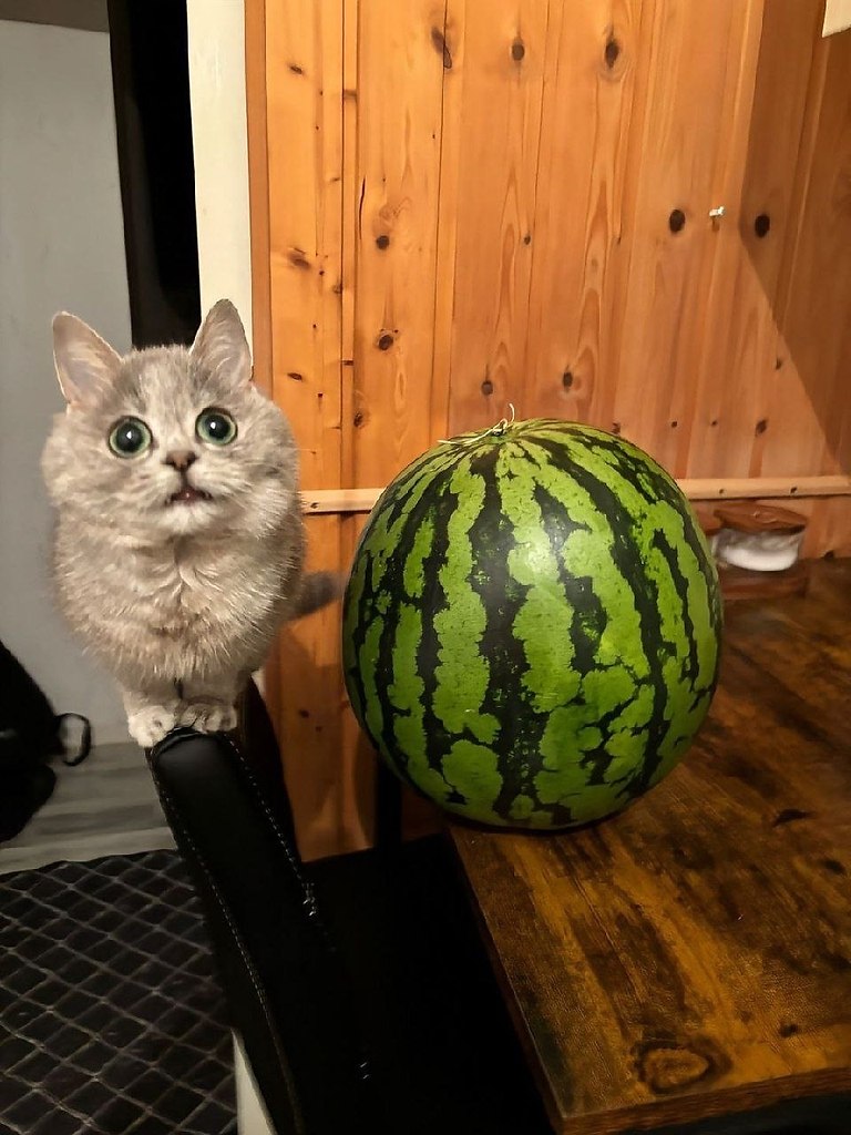 ,           - 2
