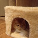 ���� ������, �����, 38 ��� - ��������� 21 ������ 2025 � ������ ���� ����������