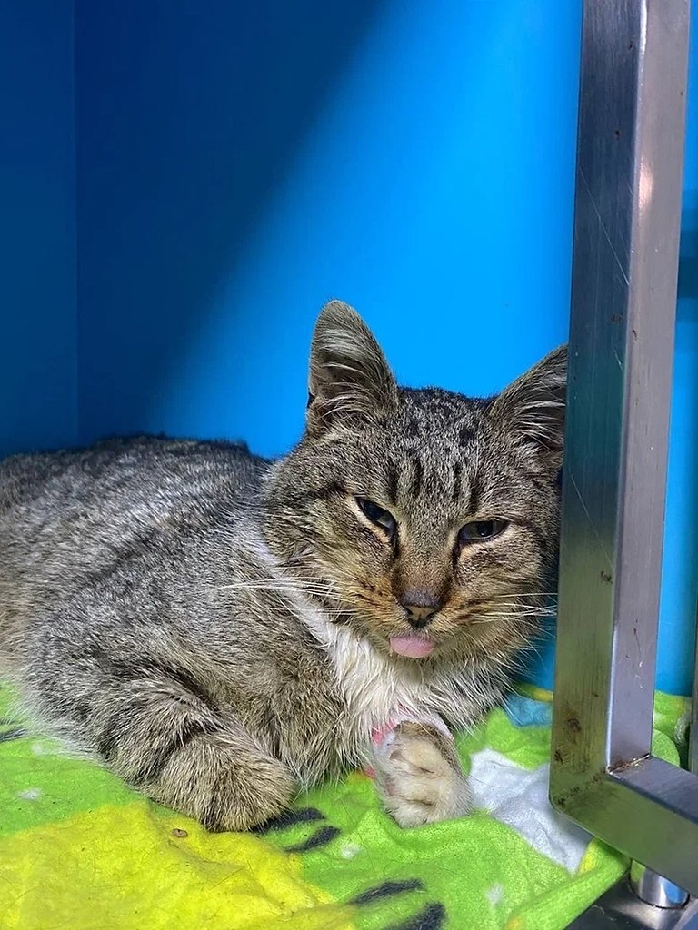 ������ ����� ����� �� ������, � �������, � ������������� ����� � ��� ����� ������. ��� � ����� �� ... - 3