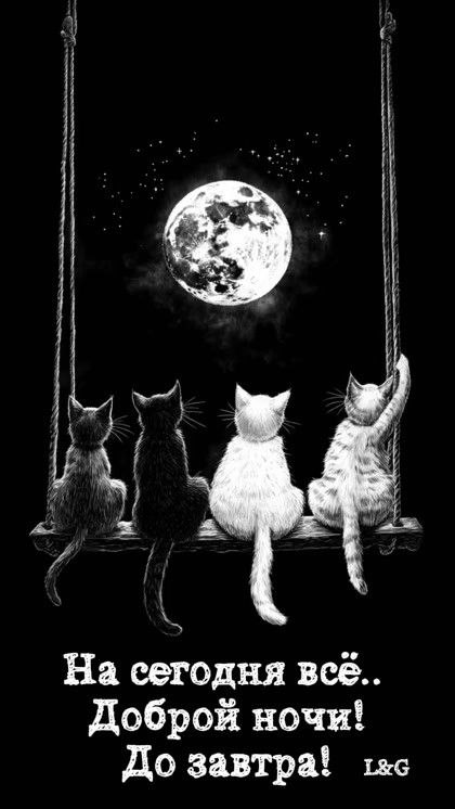 �� ����� ������! - 15 ���� 2025 � 01:03