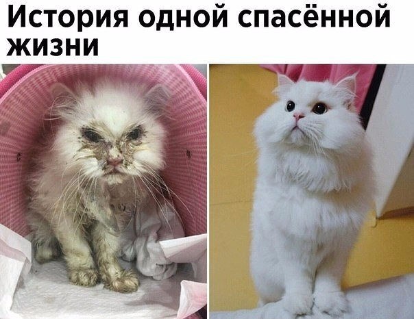 ? ,  ! - 5  2024  02:51